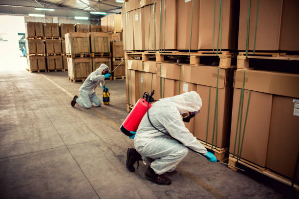 Best Flea Control Services  in Heyworth, IL