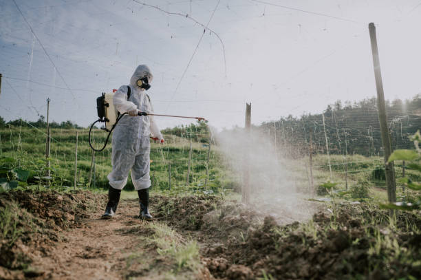 Best Pest Removal Services  in Heyworth, IL