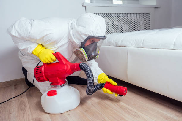 Best Pest Control Near Me  in Heyworth, IL