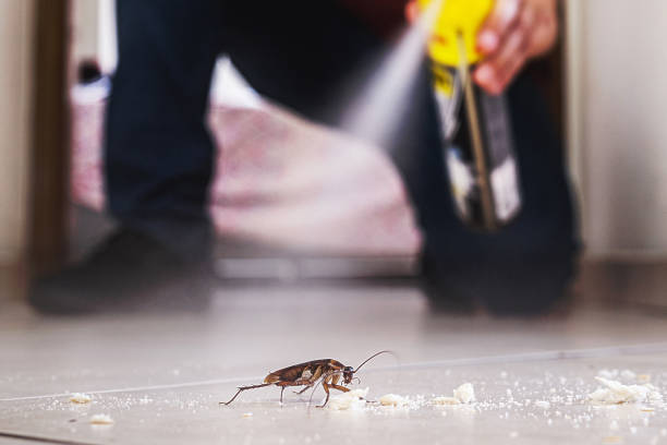 Insect Control in Heyworth, IL