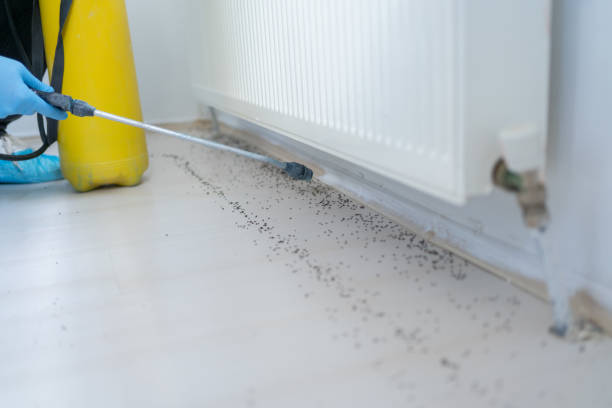 Heyworth, IL Pest Control Company
