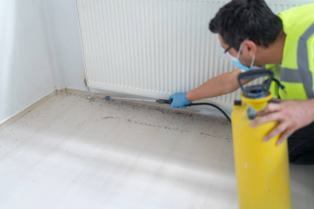 Best Pest Prevention Services  in Heyworth, IL