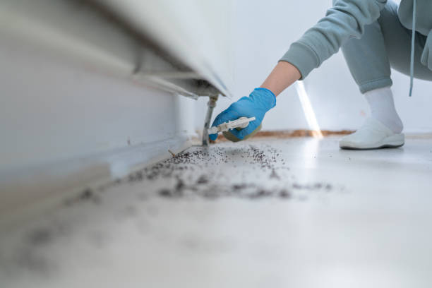Best Exterminator Services  in Heyworth, IL