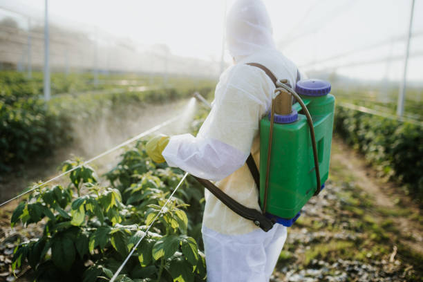 Best Affordable Pest Control Services  in Heyworth, IL